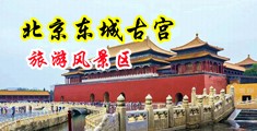 污污的骚骚的羞羞的视频网站在线观看中国北京-东城古宫旅游风景区